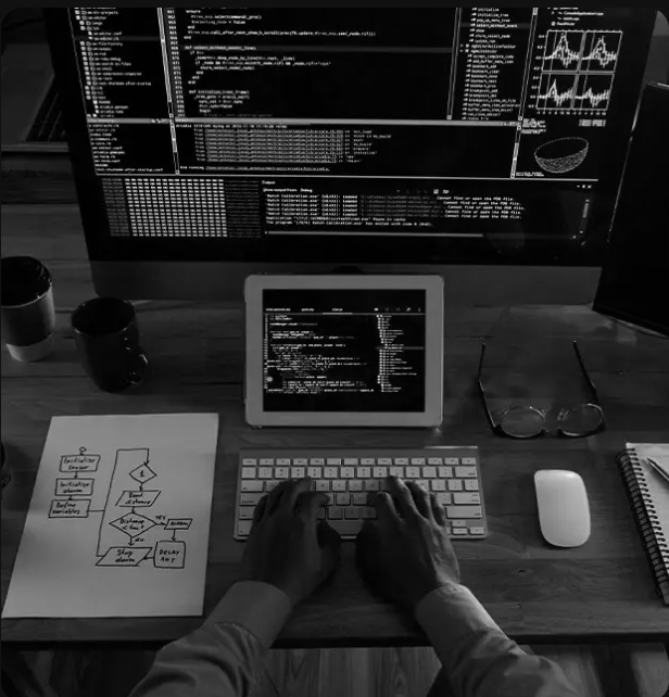 Web Development